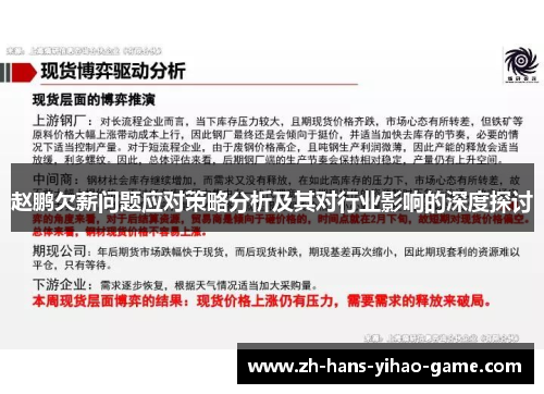 赵鹏欠薪问题应对策略分析及其对行业影响的深度探讨